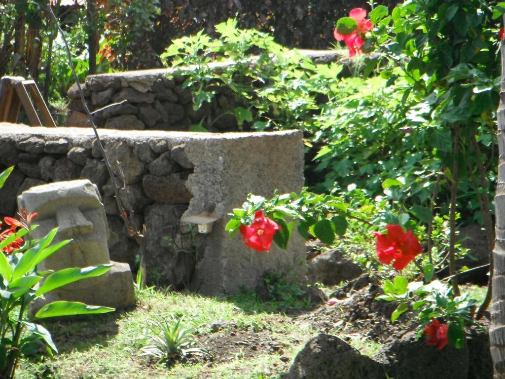 Villa Mamma Nui Glamping Hanga Roa Exterior foto